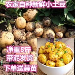 重庆梁平农家种土豆5斤包邮