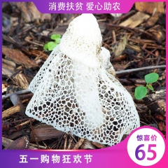 梁平农家竹荪菌50g
